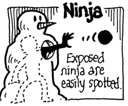 Winter ninja